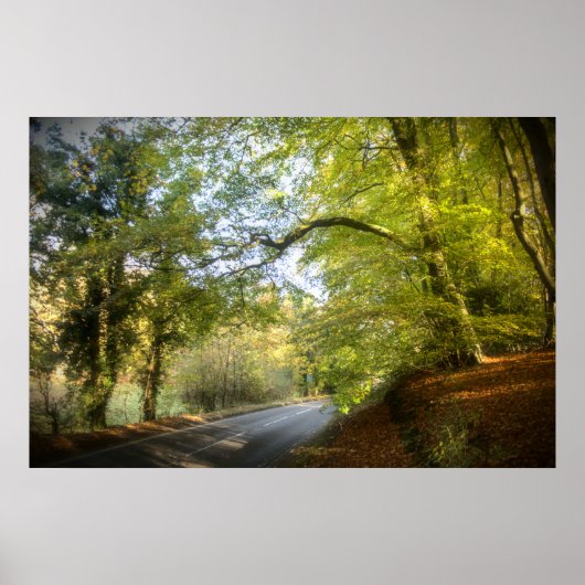 Autumn Woodland (4316) Poster (Voorkant)