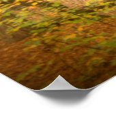 Autumn Woodland (4364) Poster (Hoek)