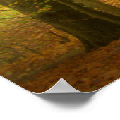 Autumn Woodland (4391) Poster (Hoek)