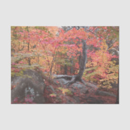 Autumn Woodland Forest Red Oranje Trees ontkoppele Tissuepapier