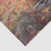 Autumn Woodland Forest Red Oranje Trees ontkoppele Tissuepapier (Detail)