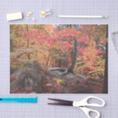 Autumn Woodland Forest Red Oranje Trees ontkoppele Tissuepapier (Craft)