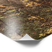 Autumn Woodland Foto Afdruk (Hoek)