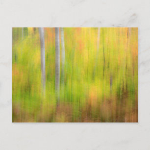Autumn Woodland   Michigan, Boven-schiereiland Briefkaart