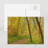 Autumn Woodlands Briefkaart (Voorkant / Achterkant)