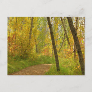 Autumn Woodlands Briefkaart