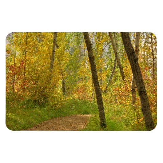 Autumn Woodlands Magneet (Horizontaal)