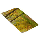 Autumn Woodlands Magneet (Rechterzijde)