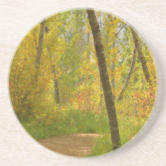 Autumn Woodlands Zandsteen Onderzetter (Voorkant)