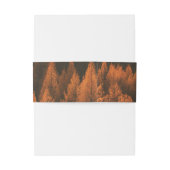 Autumn Woods Minimalist Belly Band Uitnodigingen Wikkel (Achterkant Voorbeeld)