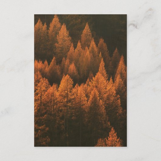 Autumn Woods Minimalist Informatiekaartje (Achterkant)