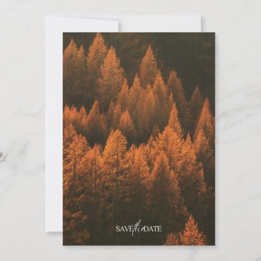 Autumn Woods Minimalist Save the Date (Achterkant)