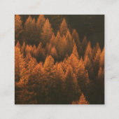 Autumn Woods Minimalist Wedding RSVP Card Informatiekaartje (Achterkant)