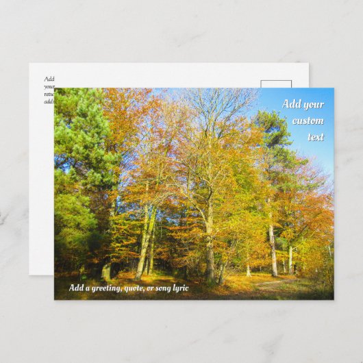 Autumn Woods & Sunshine - Personalised Briefkaart (Voorkant / Achterkant)