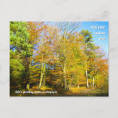 Autumn Woods & Sunshine - Personalised Briefkaart (Voorkant)