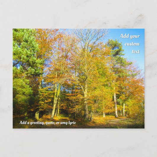 Autumn Woods & Sunshine - Personalised Briefkaart (Voorkant)