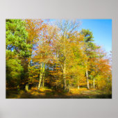 Autumn Woods & Sunshine - Personalised Poster (Voorkant)