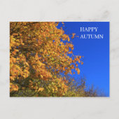 Autumn Yellow Forest Briefkaart (Voorkant)