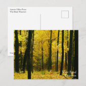 Autumn Yellow Forest Briefkaart (Voorkant / Achterkant)