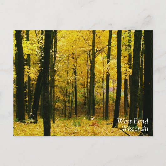 Autumn Yellow Forest Briefkaart (Voorkant)