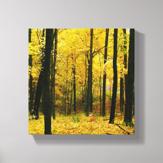 Autumn Yellow Forest Canvas Afdruk (Voorkant)