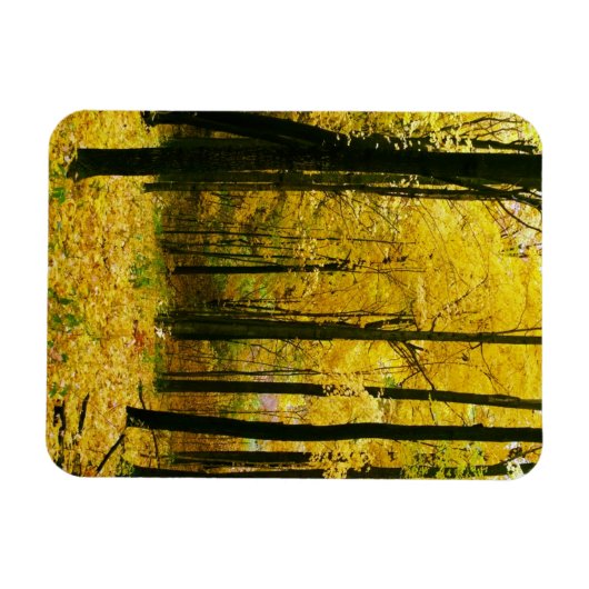Autumn Yellow Forest Magneet (Horizontaal)