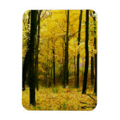 Autumn Yellow Forest Magneet (Verticaal)