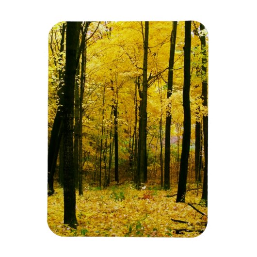 Autumn Yellow Forest Magneet (Verticaal)