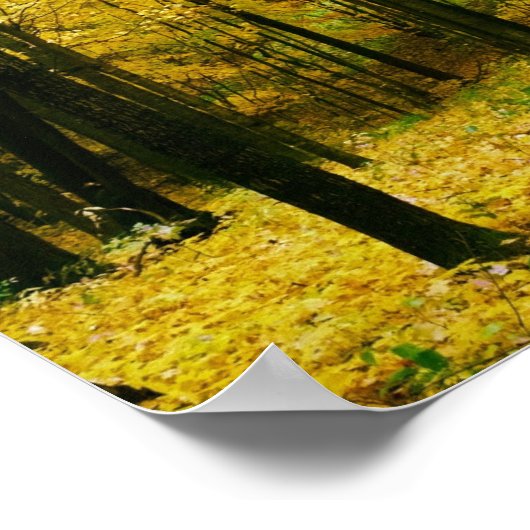 Autumn Yellow Forest Poster (Hoek)