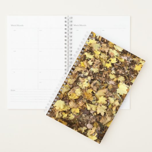Autumn Yellow Leaves Collection Planner (Display)