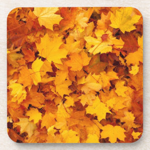 Autumn Yellow Maple Leaves Bier Onderzetter