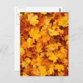 Autumn Yellow Maple Leaves Briefkaart (Voorkant / Achterkant)
