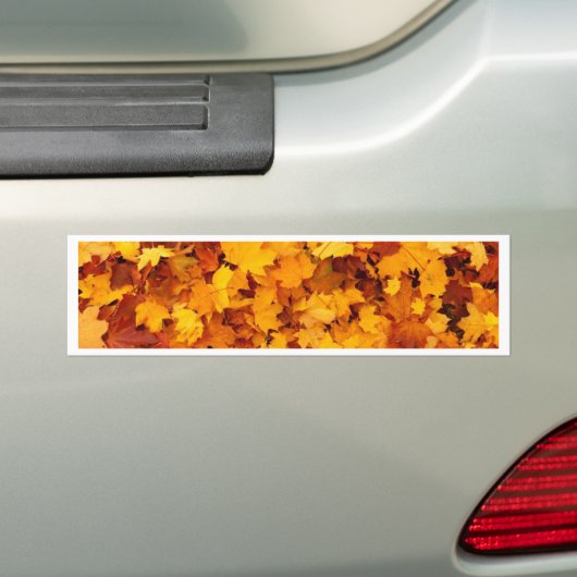 Autumn Yellow Maple Leaves Bumpersticker (Op auto)