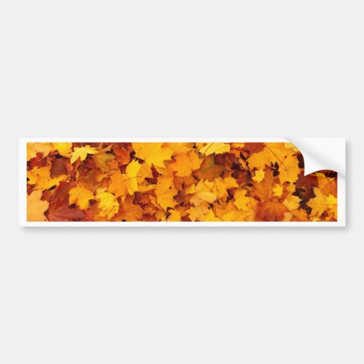 Autumn Yellow Maple Leaves Bumpersticker (Voorkant)