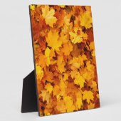 Autumn Yellow Maple Leaves Fotoplaat (Zijkant)