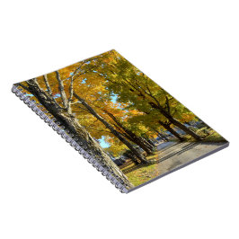 Autumn Yellow Path Spiral Notebook Notitieboek