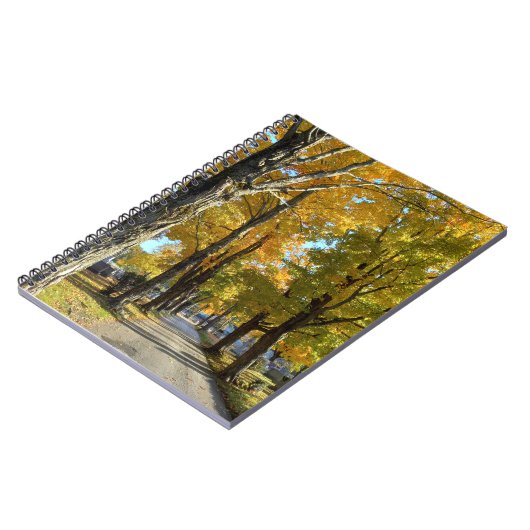 Autumn Yellow Path Spiral Notebook Notitieboek (Linkerzijde)