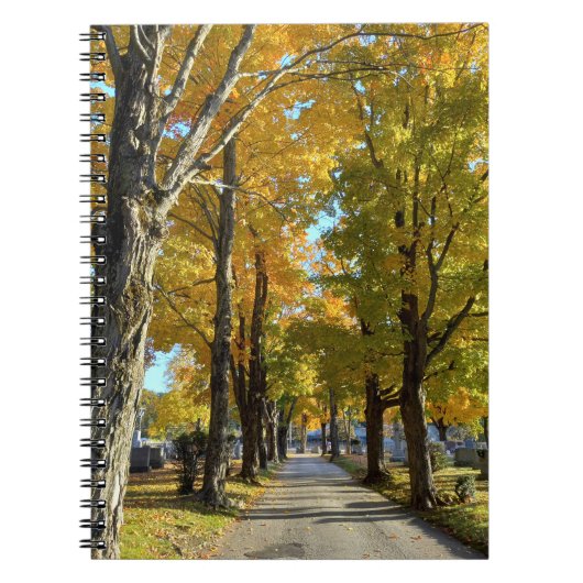 Autumn Yellow Path Spiral Notebook Notitieboek (Voorkant)