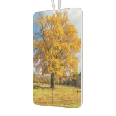 Autumn Yellow Sugar Maple Luchtverfrisser (Links)