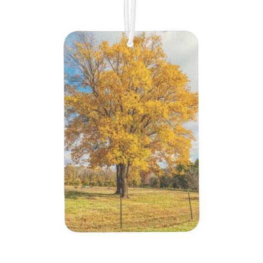 Autumn Yellow Sugar Maple Luchtverfrisser (Achterkant)
