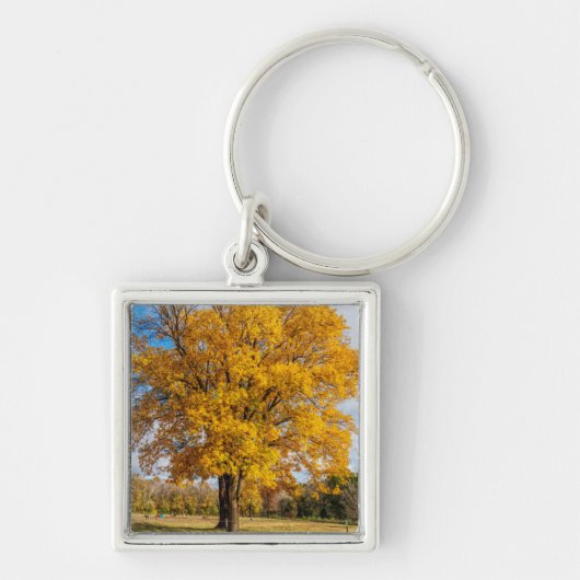 Autumn Yellow Sugar Maple Sleutelhanger (Voorkant)