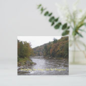 Autumn Yough Briefkaart (Staand voorkant)