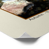 Autumn - Yuba River, Californië Poster (Hoek)