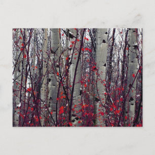Autumnal Aspens Briefkaart
