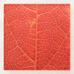 Autumnal Leaf Glazen Onderzetter