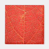 Autumnal Leaf Magneet (Voorkant)