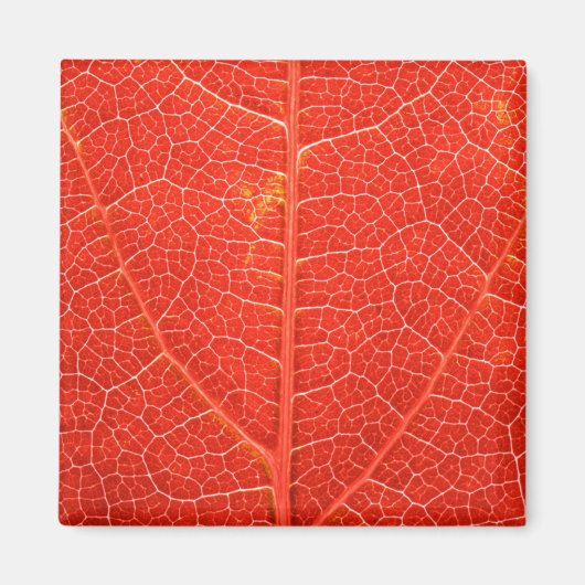 Autumnal Leaf Magneet (Voorkant)