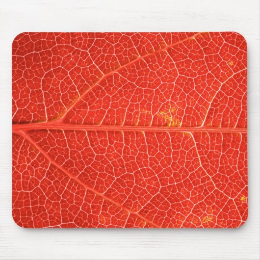 Autumnal Leaf Muismat (Voorkant)