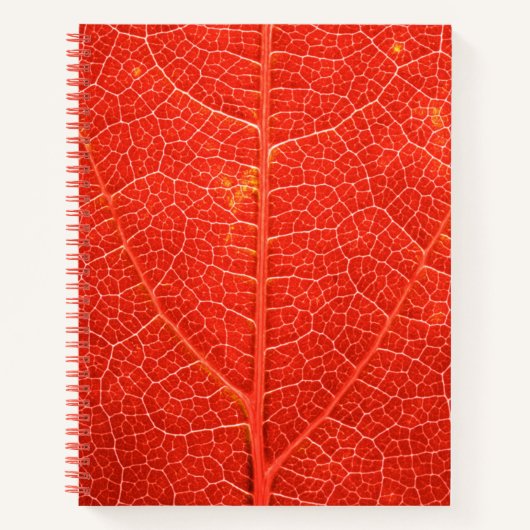 Autumnal Leaf Notitieboek (Voorkant)