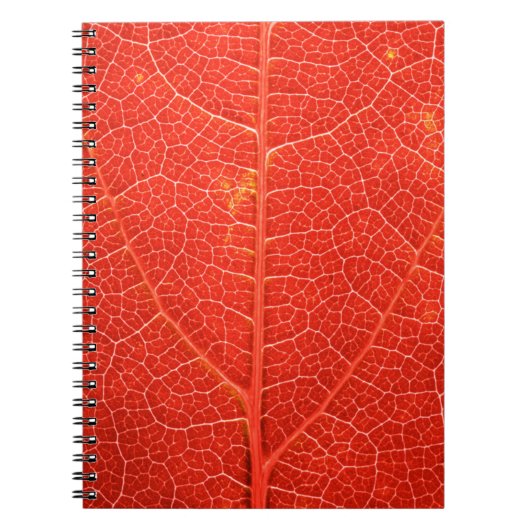 Autumnal Leaf Notitieboek (Voorkant)